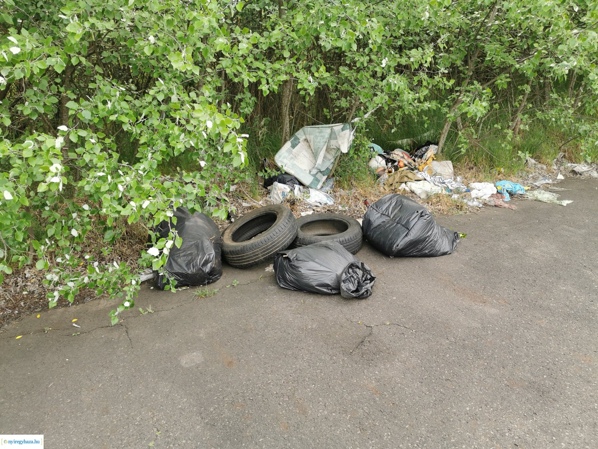 Illegális szemétlerakás