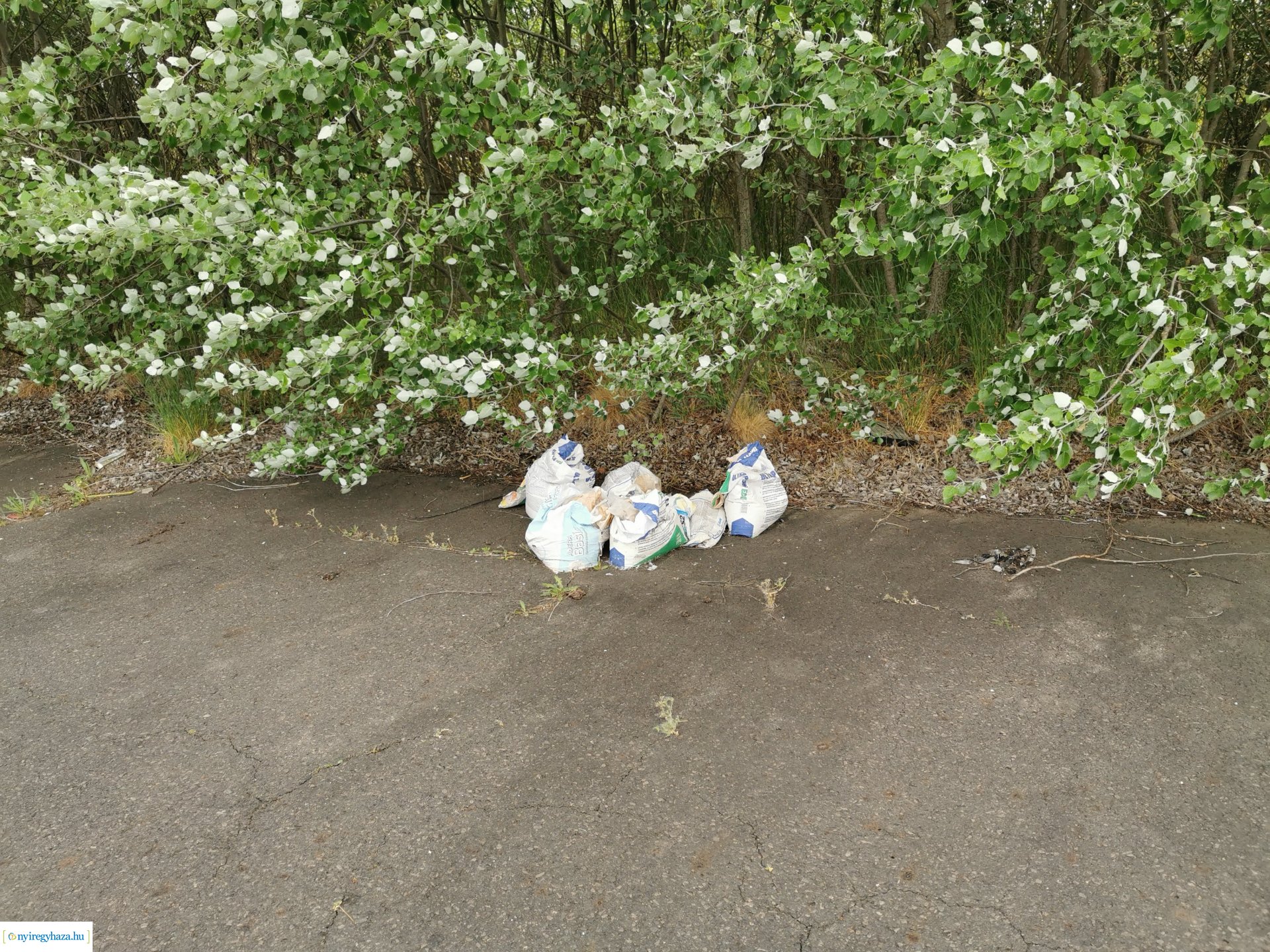 Illegális szemétlerakás