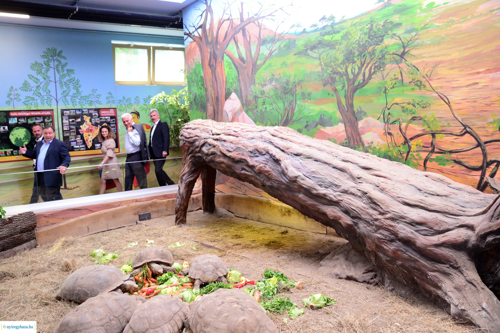 India-ház megnyitó a Nyíregyházi Állatparkban