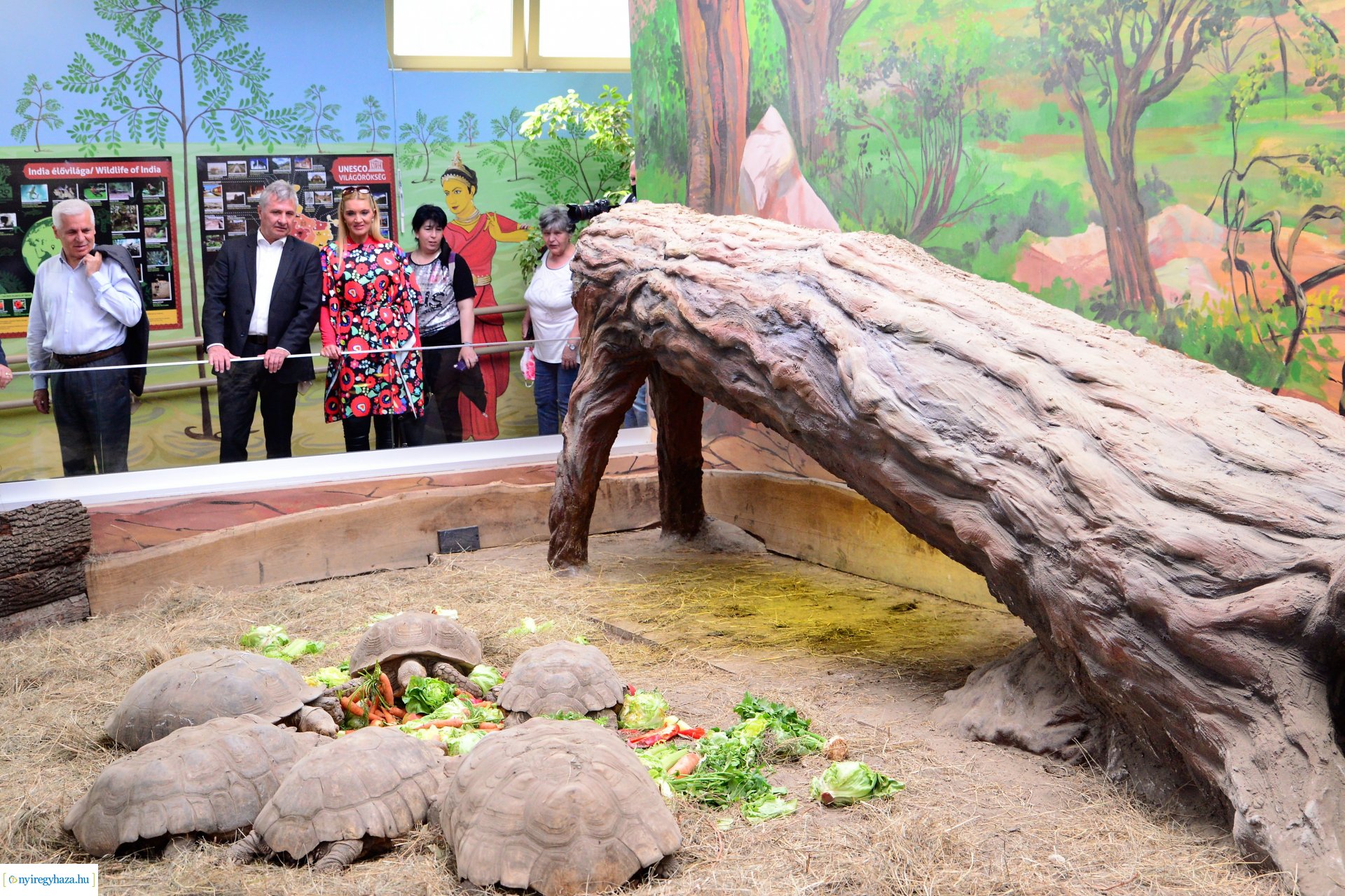 India-ház megnyitó a Nyíregyházi Állatparkban