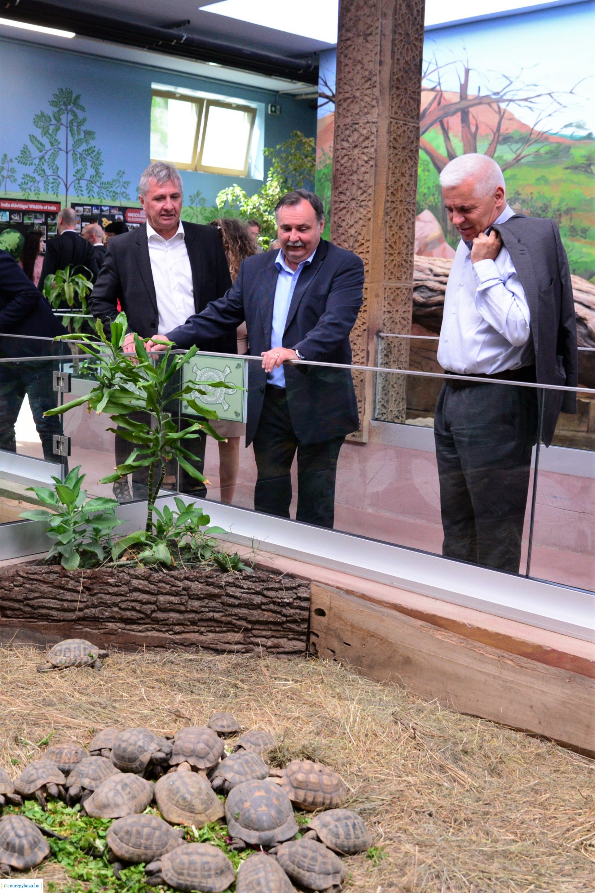 India-ház megnyitó a Nyíregyházi Állatparkban