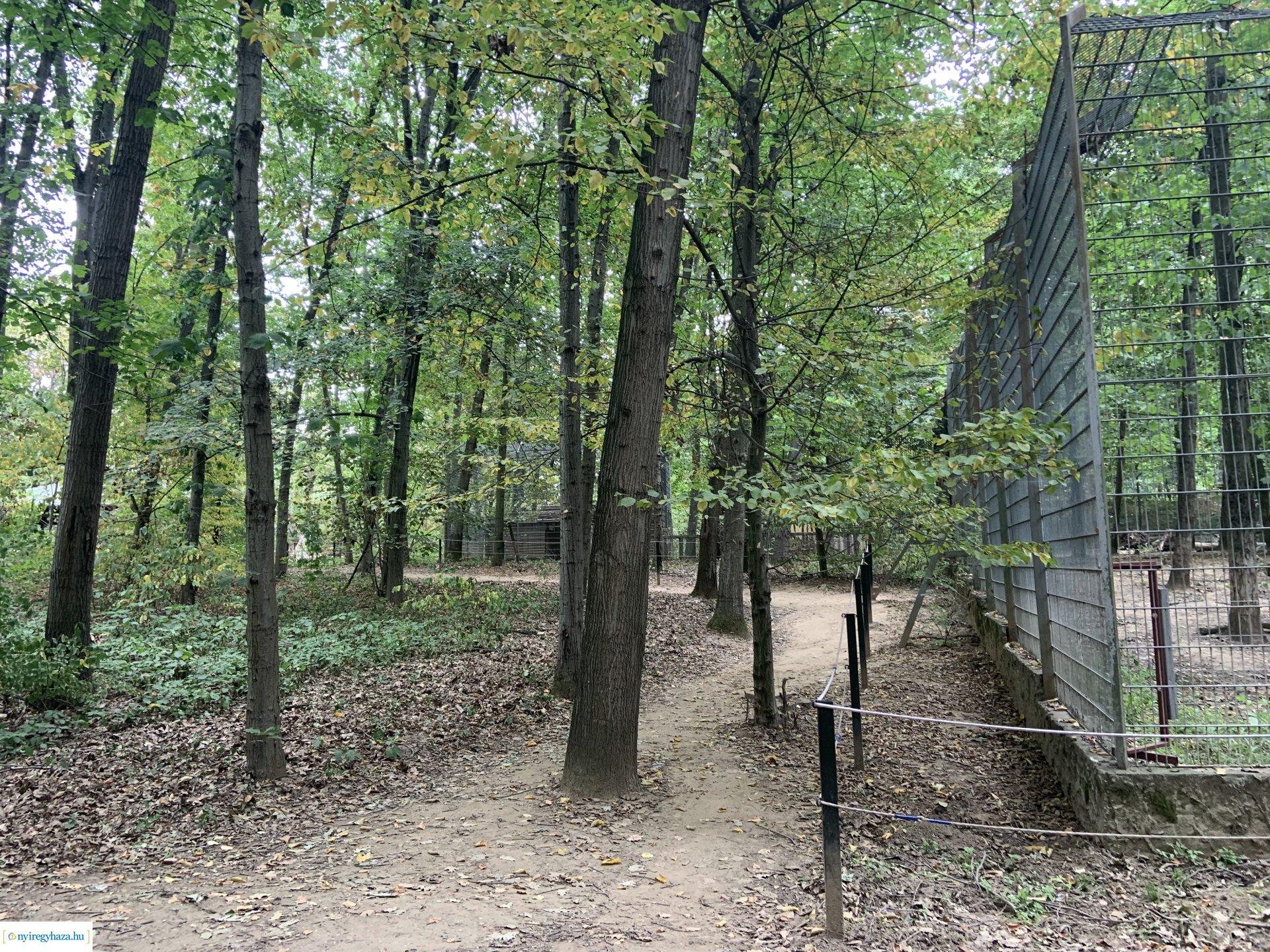 Indiai nagymacska kifutó építése a Nyíregyházi Állatparkban