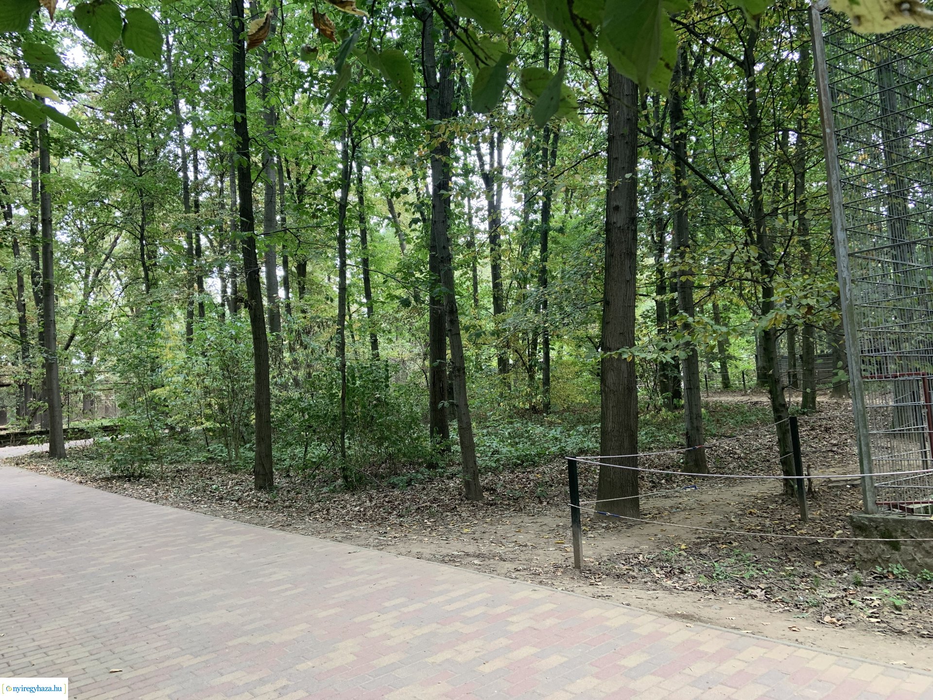 Indiai nagymacska kifutó építése a Nyíregyházi Állatparkban