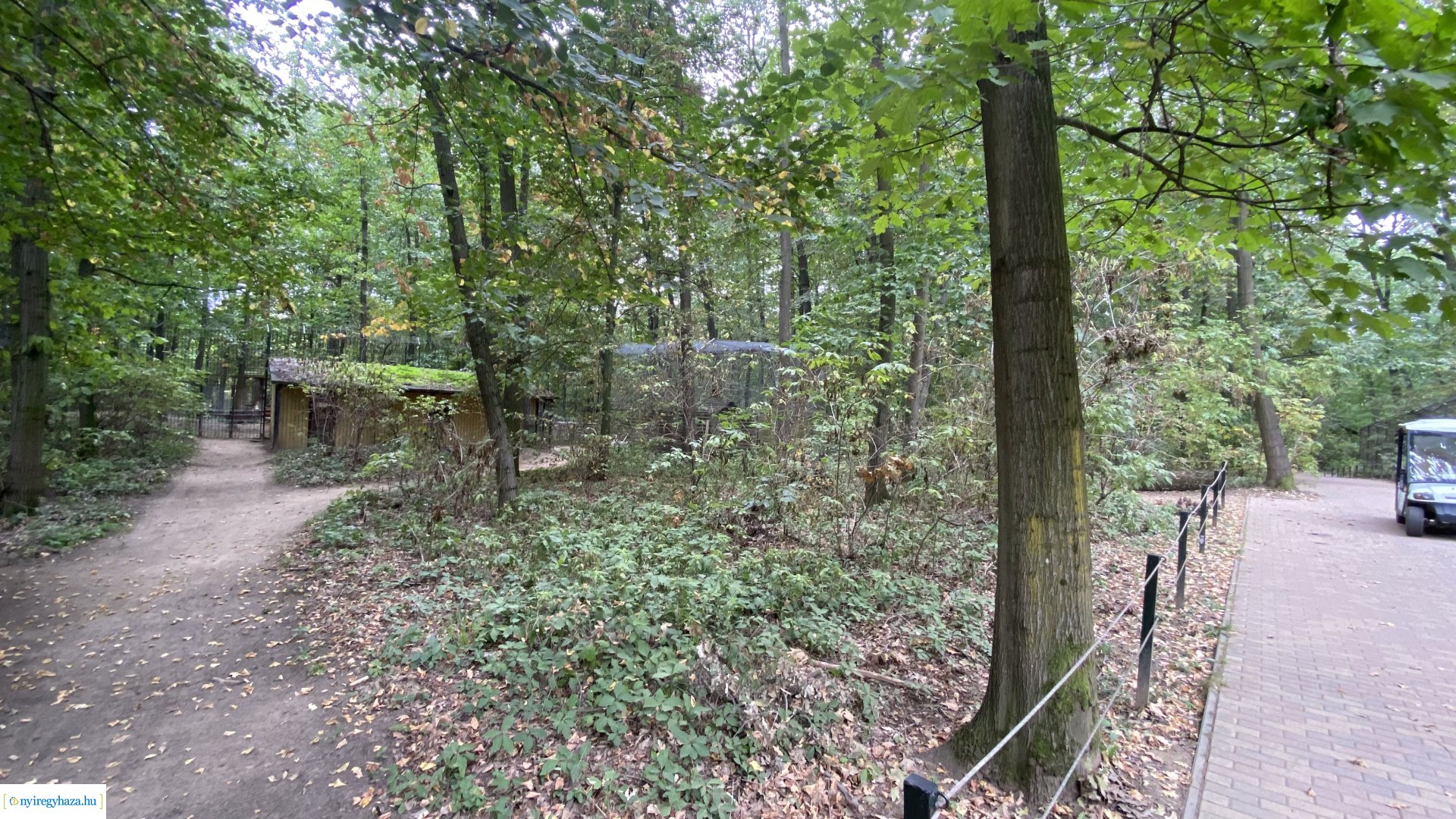 Indiai nagymacska kifutó építése a Nyíregyházi Állatparkban