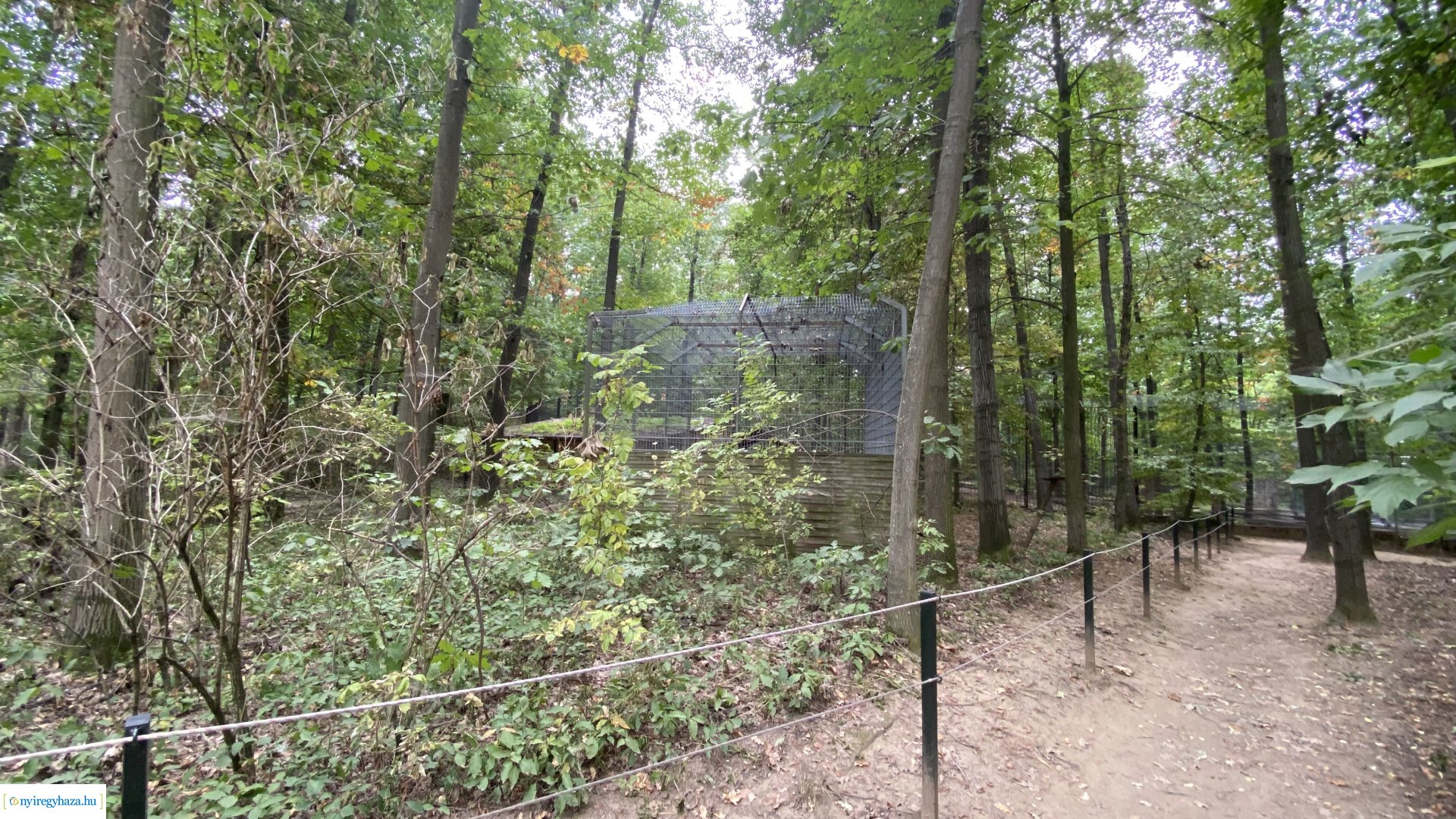 Indiai nagymacska kifutó építése a Nyíregyházi Állatparkban