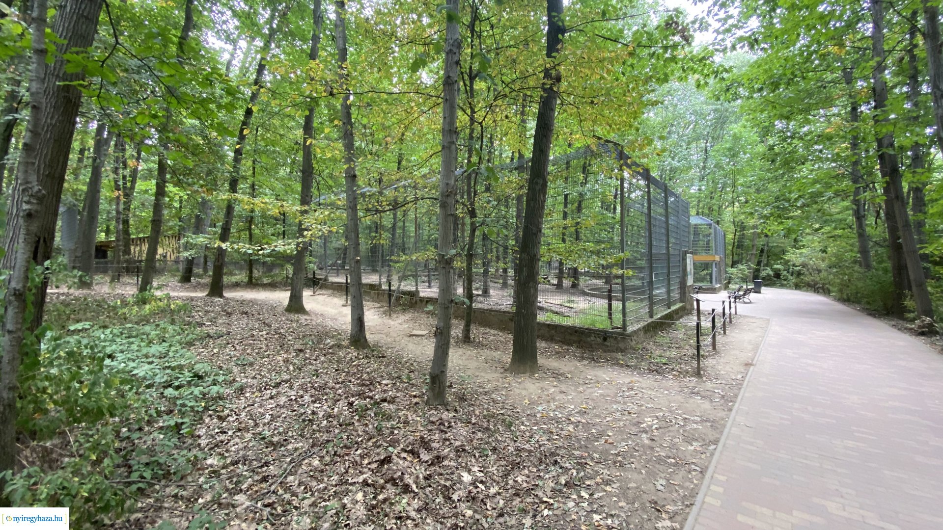 Indiai nagymacska kifutó építése a Nyíregyházi Állatparkban