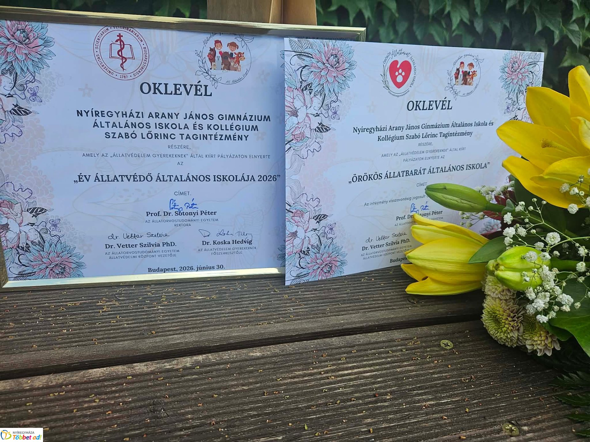 Ismét országos elismerést kapott a sóstóhegyi ökosuli