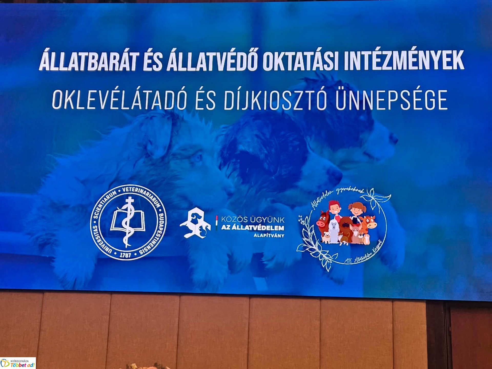 Ismét országos elismerést kapott a sóstóhegyi ökosuli