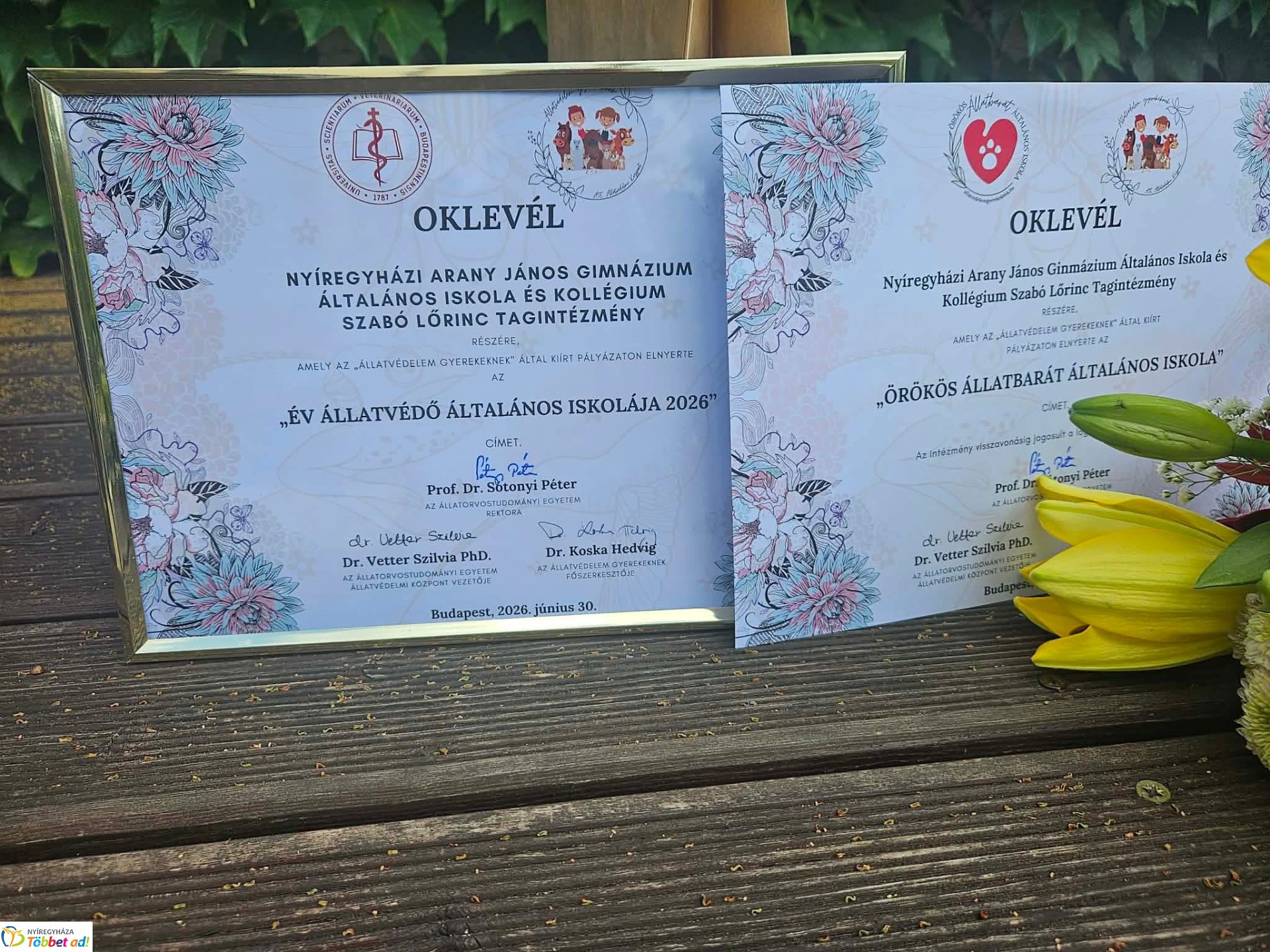 Ismét országos elismerést kapott a sóstóhegyi ökosuli