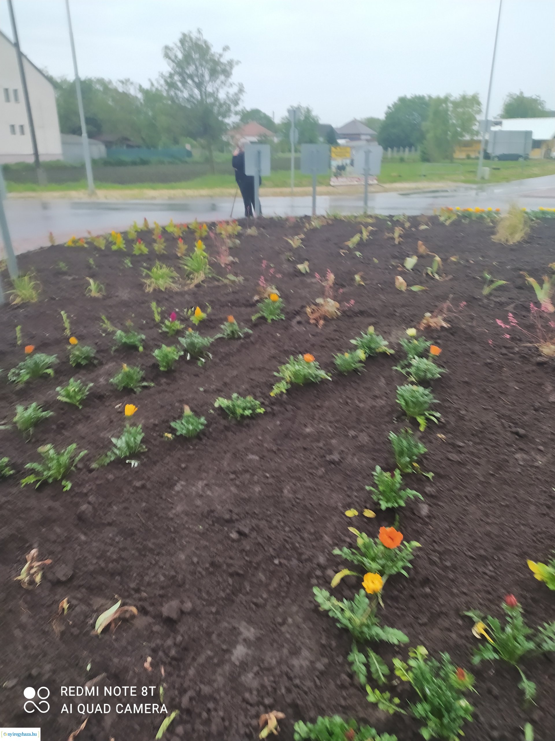 Ismét virágba borult Oroson a Vezér utcai körforgalom