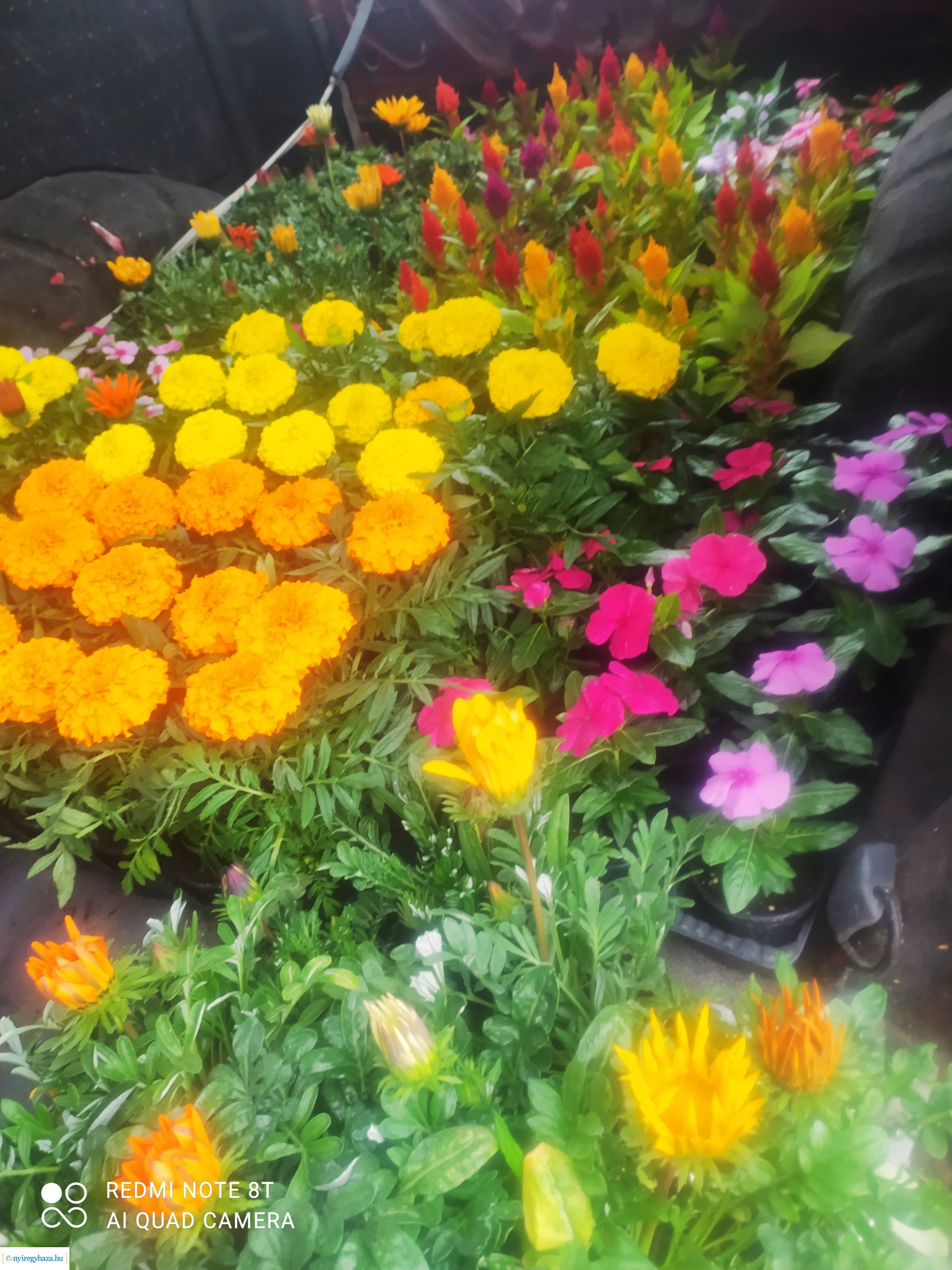 Ismét virágba borult Oroson a Vezér utcai körforgalom