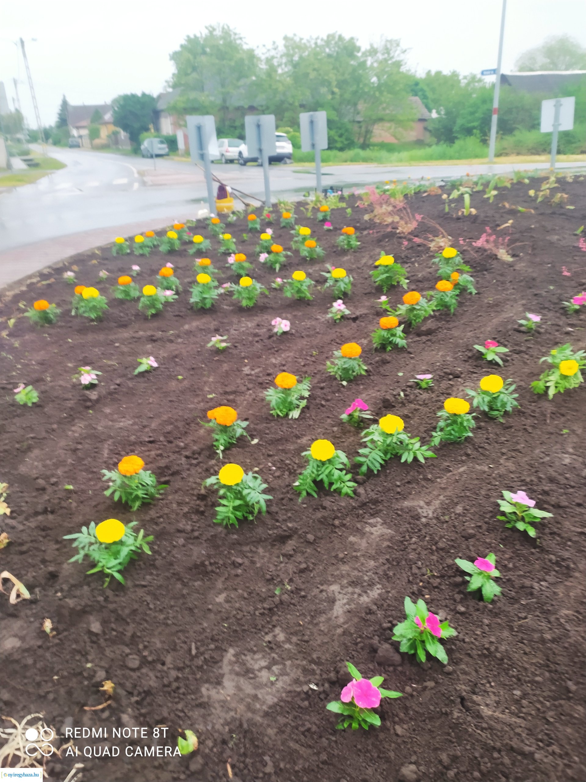 Ismét virágba borult Oroson a Vezér utcai körforgalom