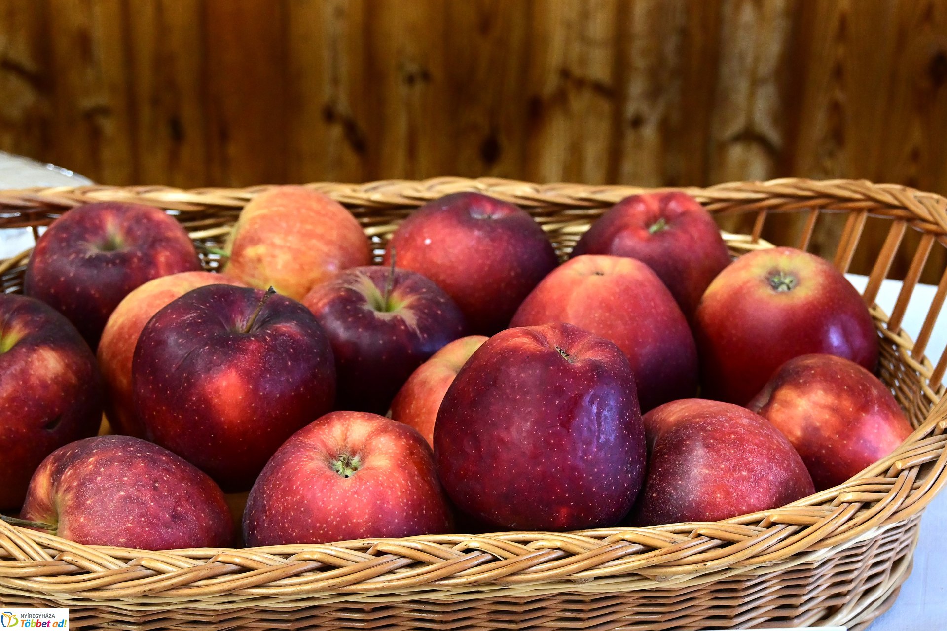 Itthonról-Otthonra - fórum középiskolásoknak az Eötvösben