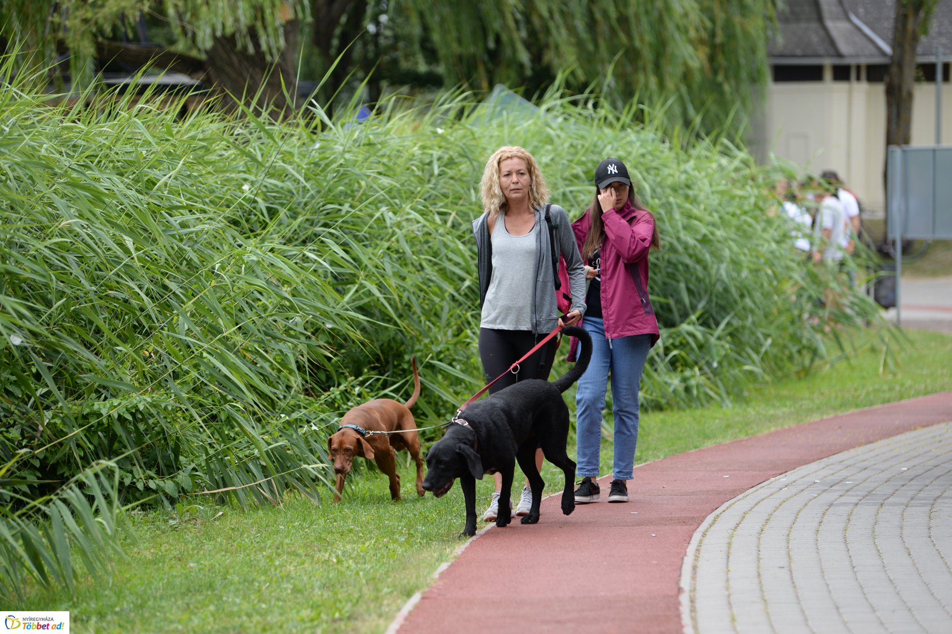 IV. Sóstói Sárkányhajó Fesztivál