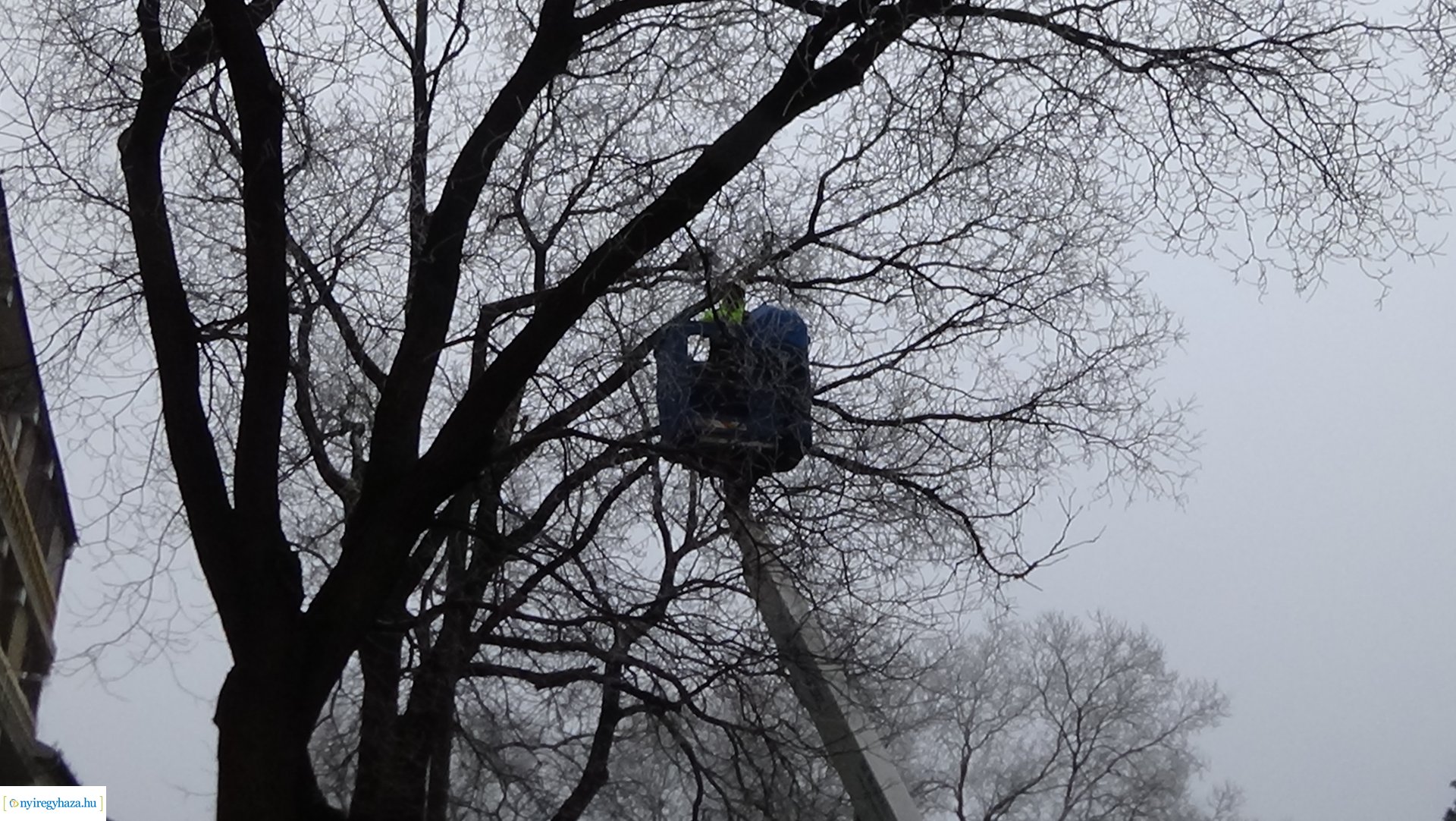 Izzókat cseréltek az E.ON szakemberei a Szarvas utcán 