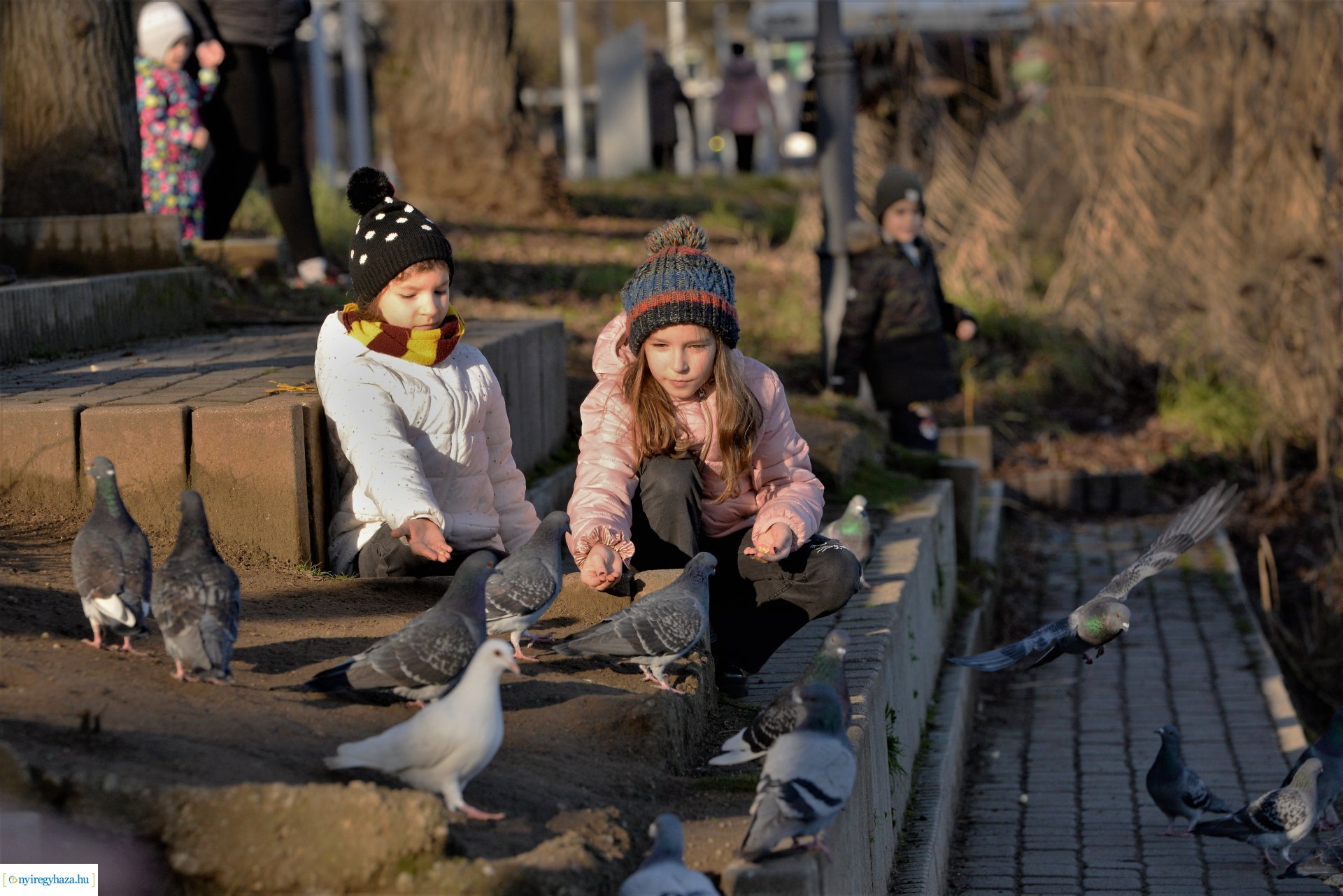 Januári tavasz Sóstón