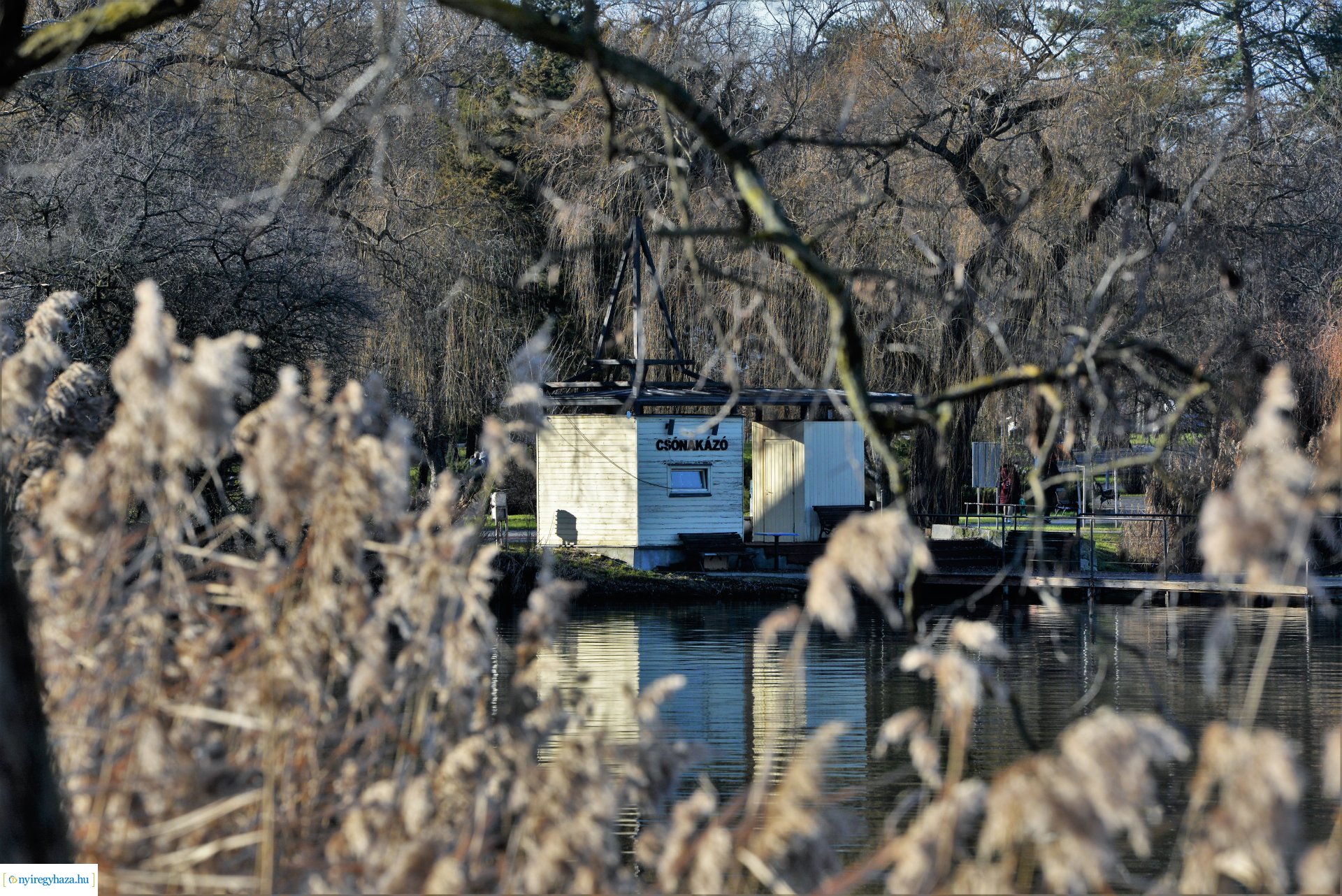 Januári tavasz Sóstón