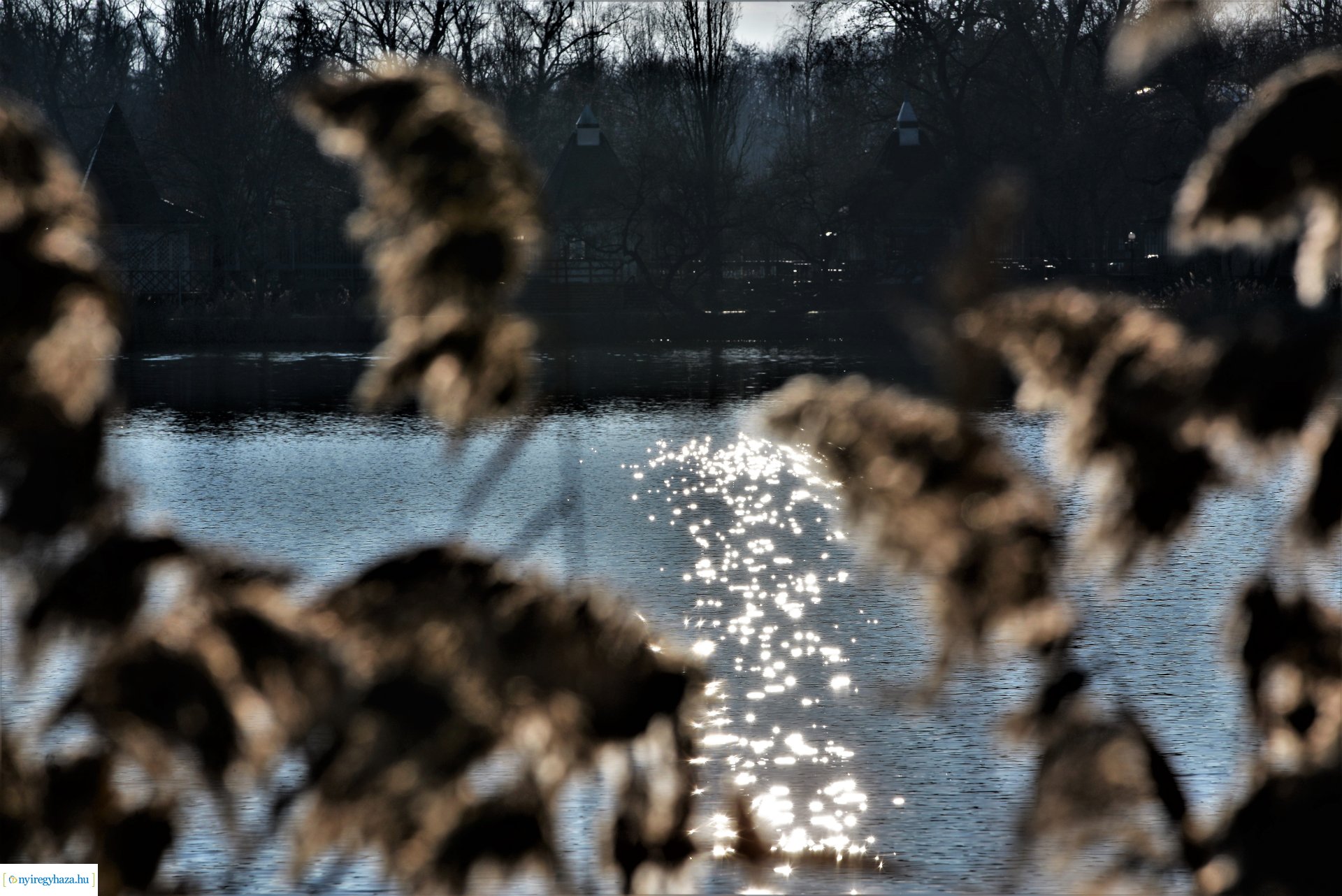 Januári tavasz Sóstón