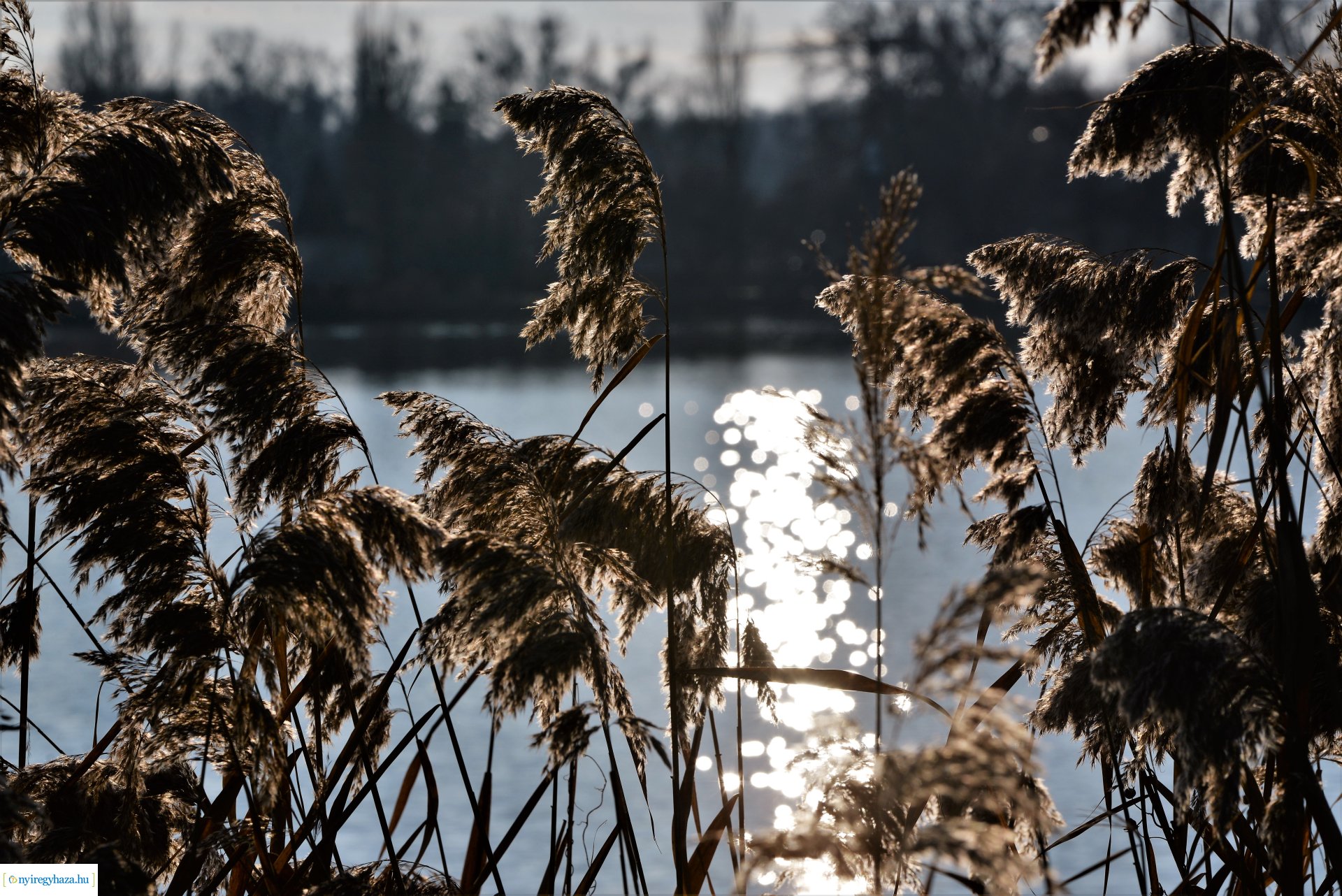 Januári tavasz Sóstón