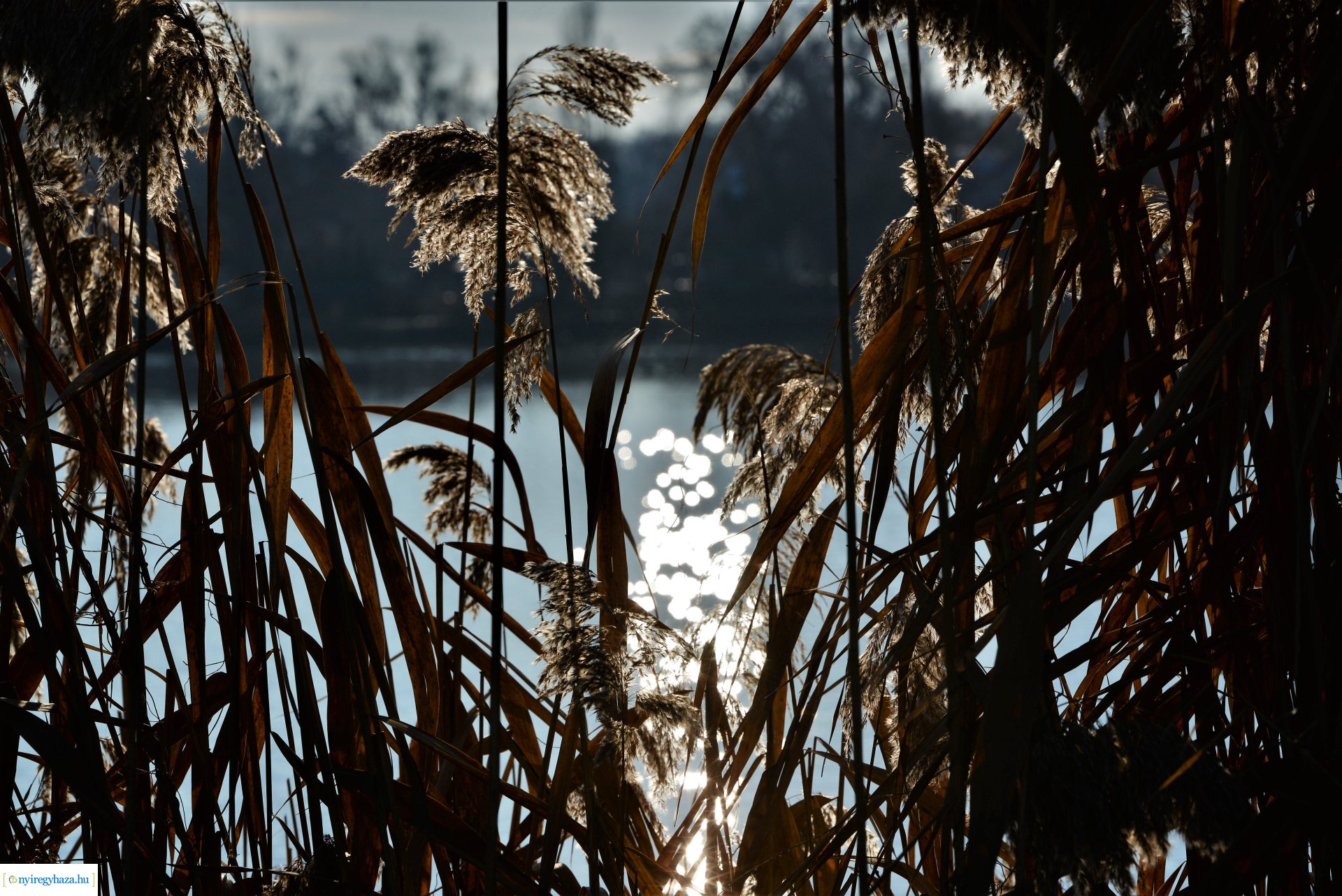 Januári tavasz Sóstón