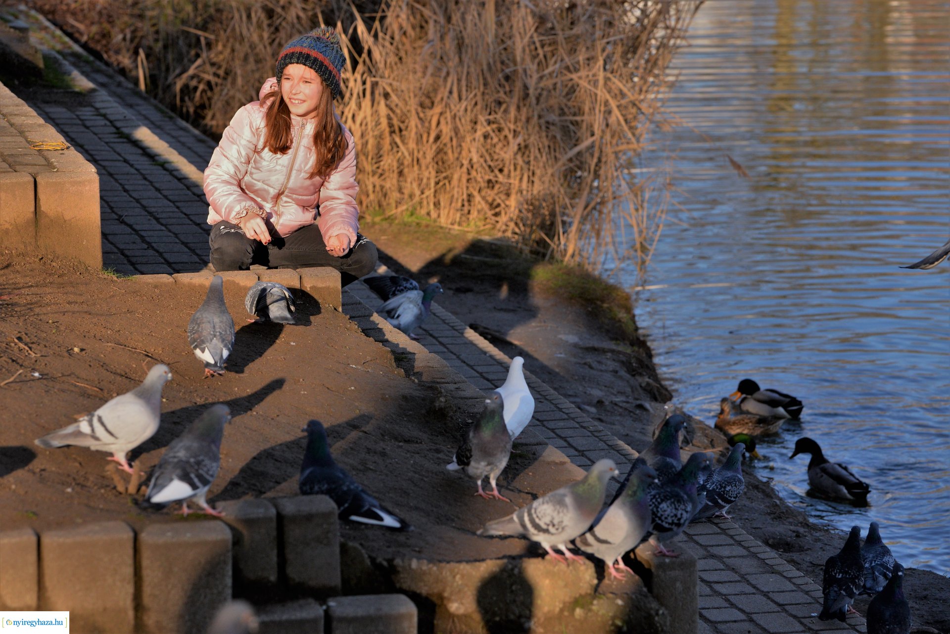 Januári tavasz Sóstón