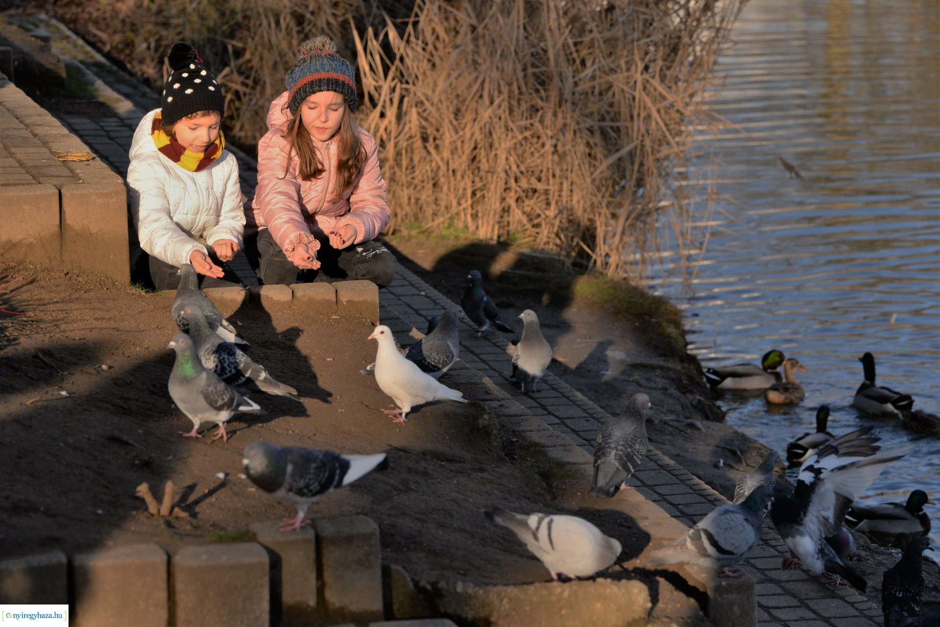 Januári tavasz Sóstón
