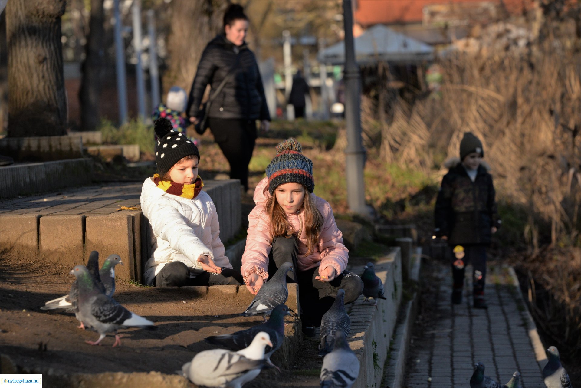 Januári tavasz Sóstón