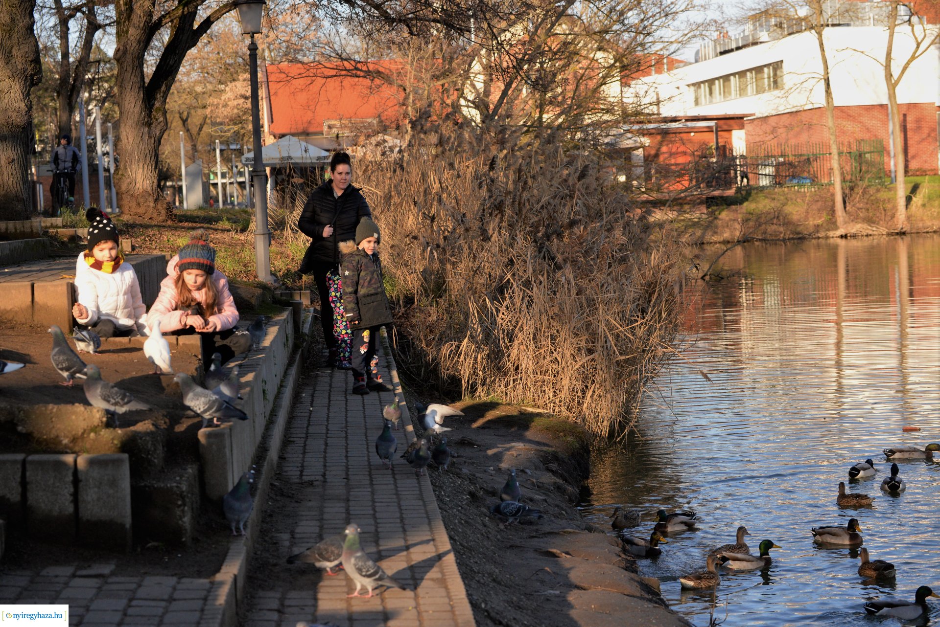 Januári tavasz Sóstón