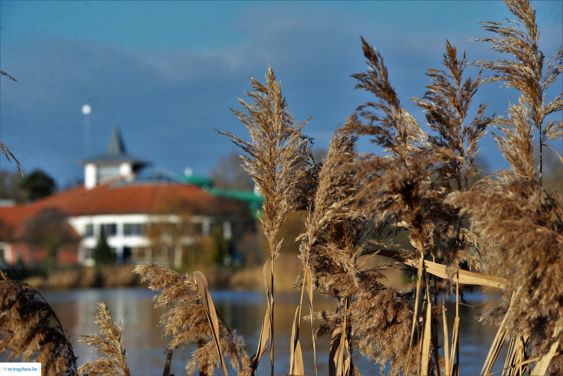 Januári tavasz Sóstón