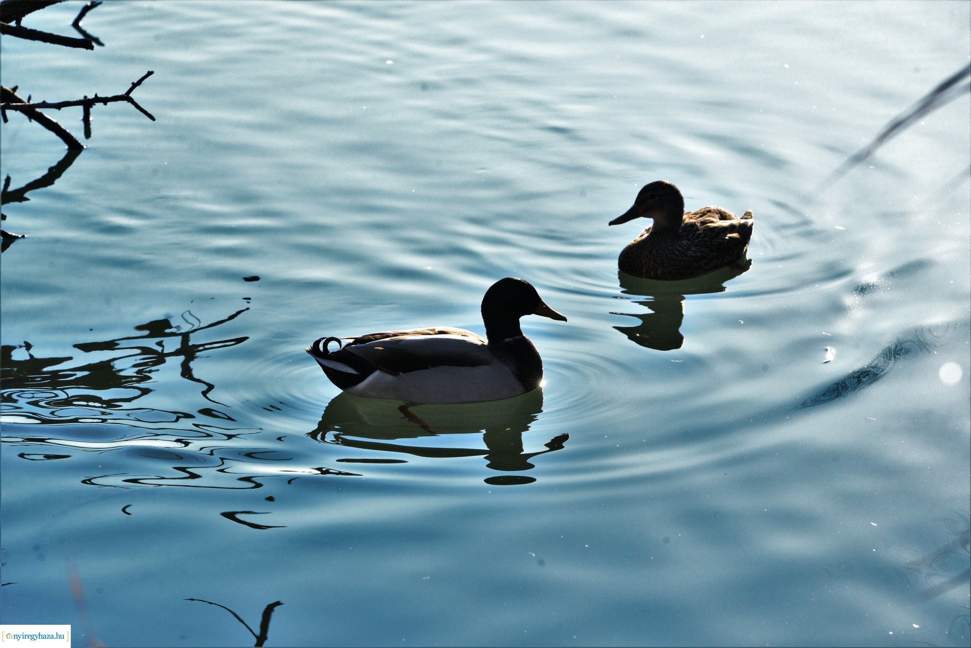 Januári tavasz Sóstón