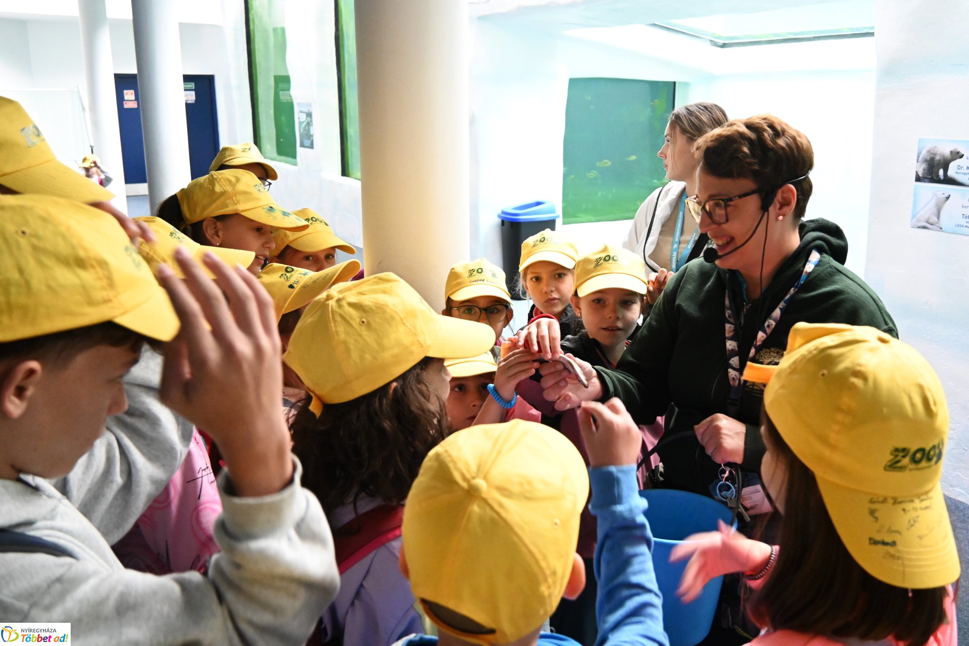 Jegesmedve bocsok etetését látogatták a zoosulisok