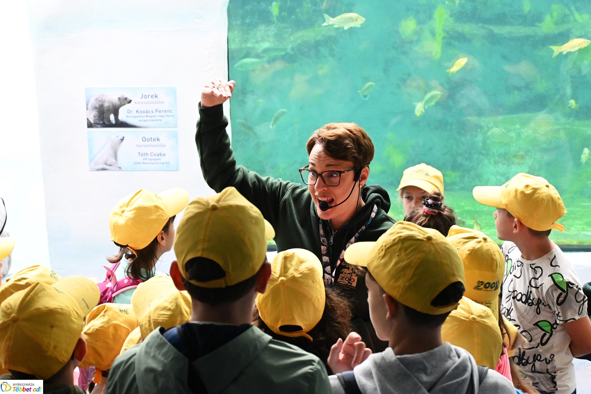 Jegesmedve bocsok etetését látogatták a zoosulisok