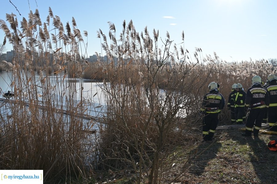 Jégről mentési gyakorlat 2024