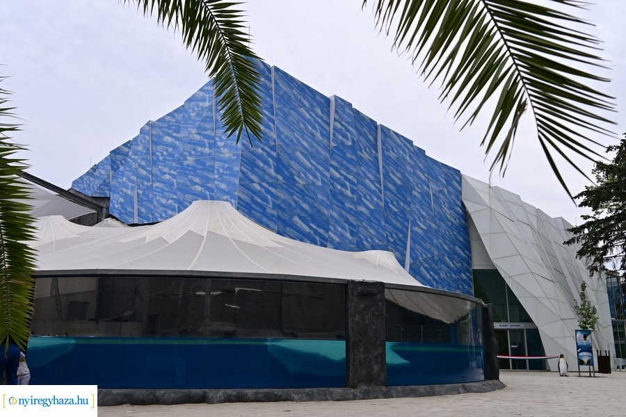 Jégvilág átadó 2024