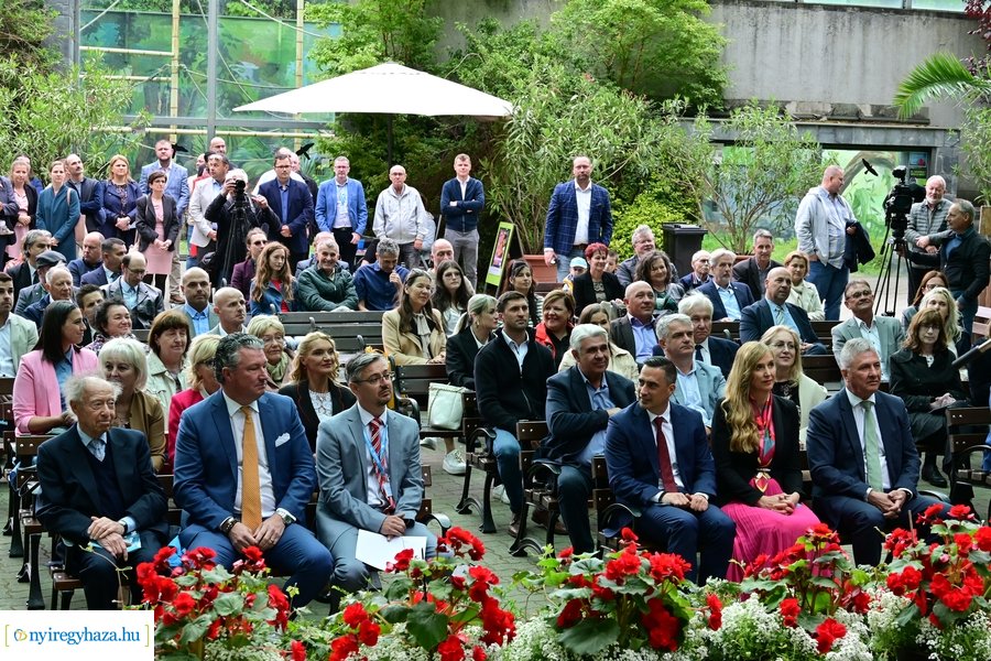 Jégvilág átadó 2024