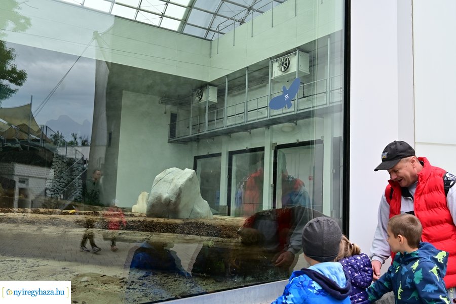 Jégvilág átadó 2024