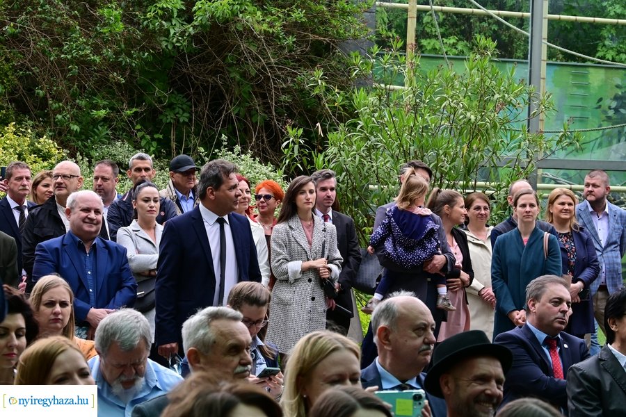 Jégvilág átadó 2024