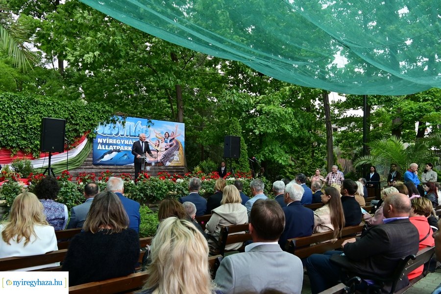 Jégvilág átadó 2024