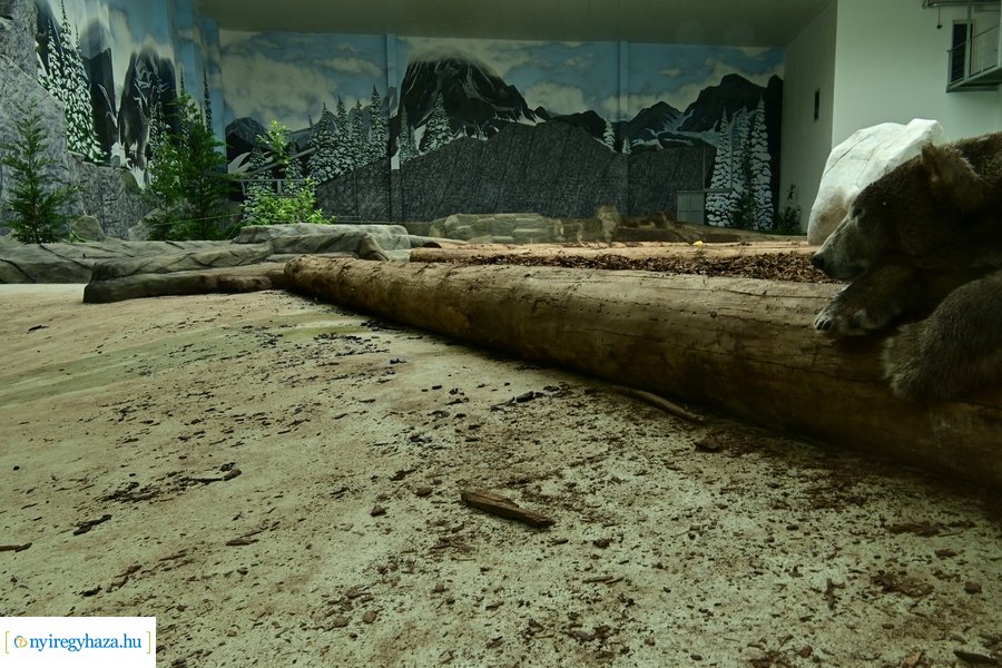 Jégvilág átadó 2024