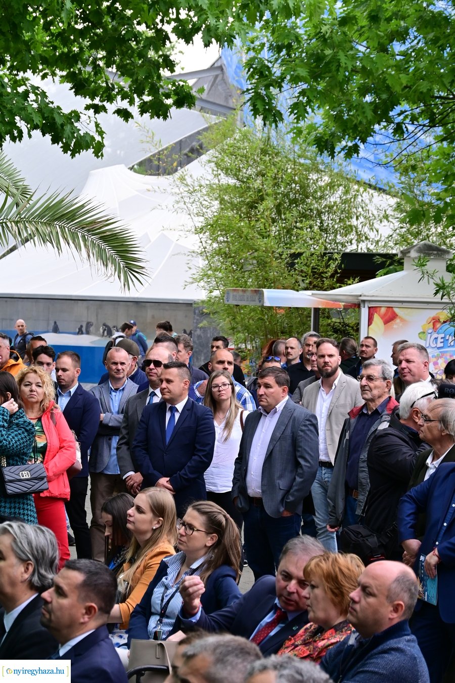 Jégvilág átadó 2024