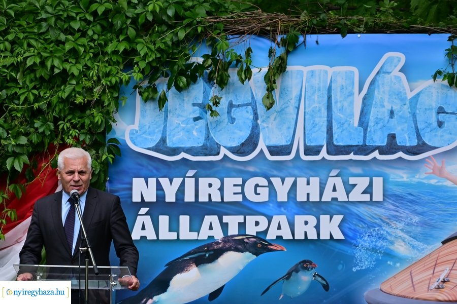 Jégvilág átadó 2024