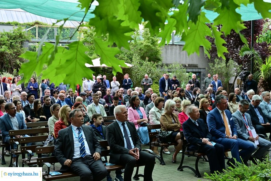 Jégvilág átadó 2024