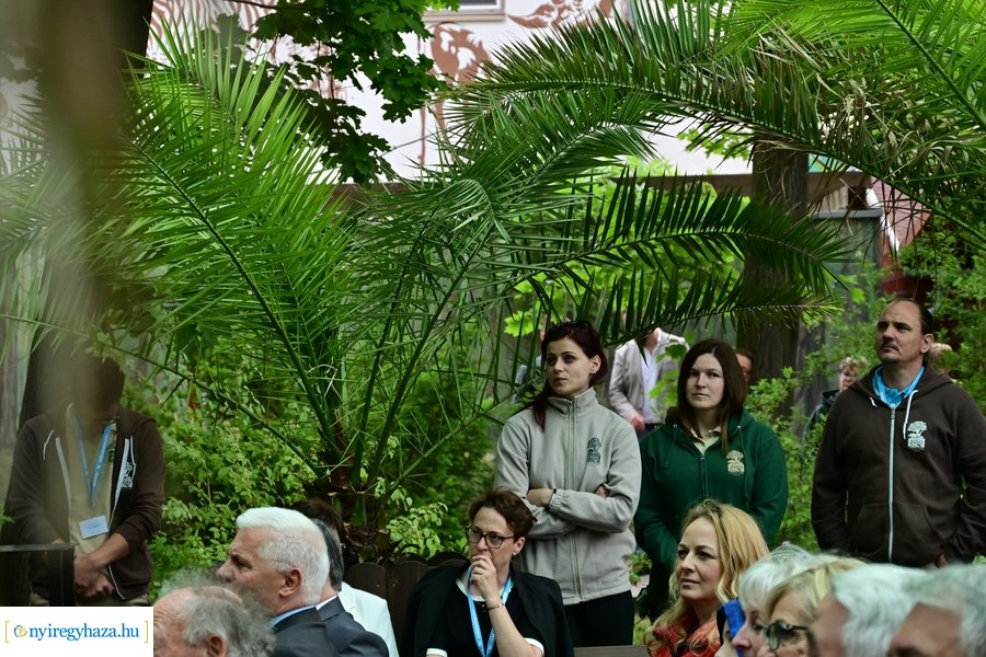 Jégvilág átadó 2024