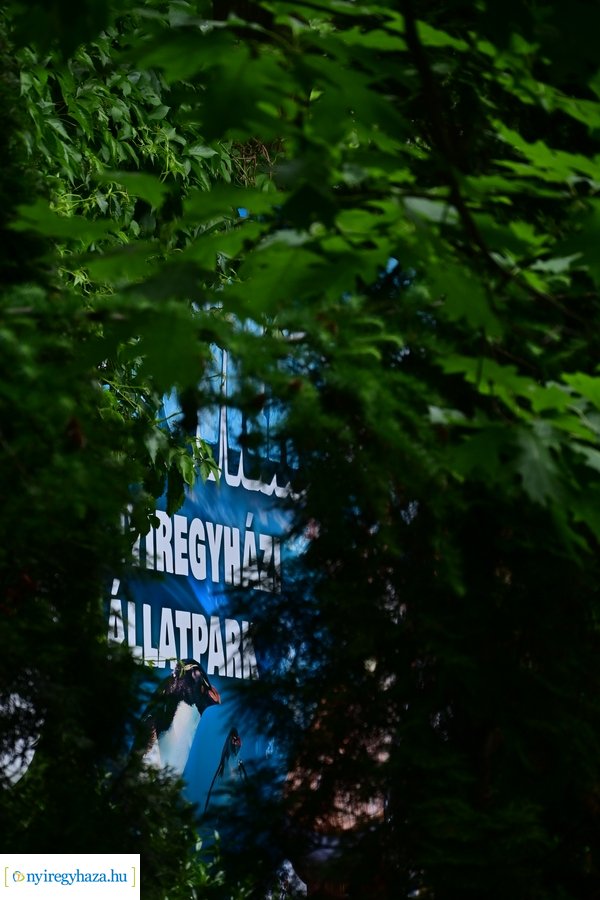 Jégvilág átadó 2024