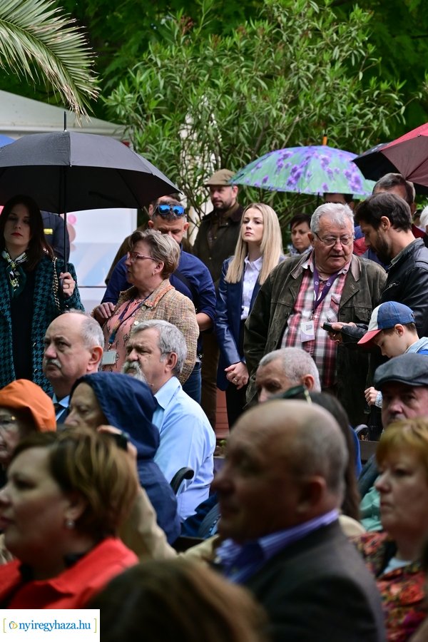 Jégvilág átadó 2024