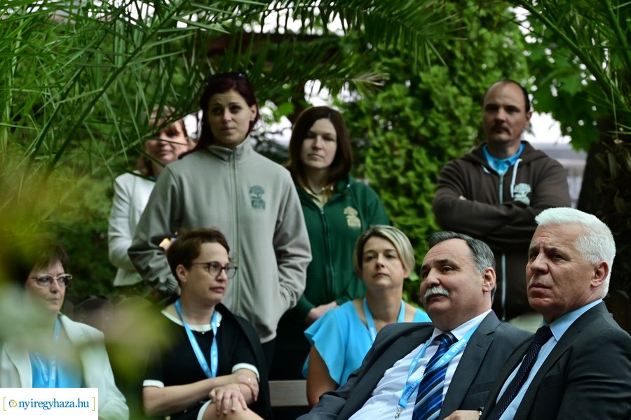 Jégvilág átadó 2024