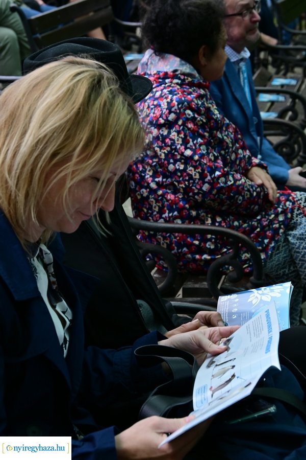 Jégvilág átadó 2024