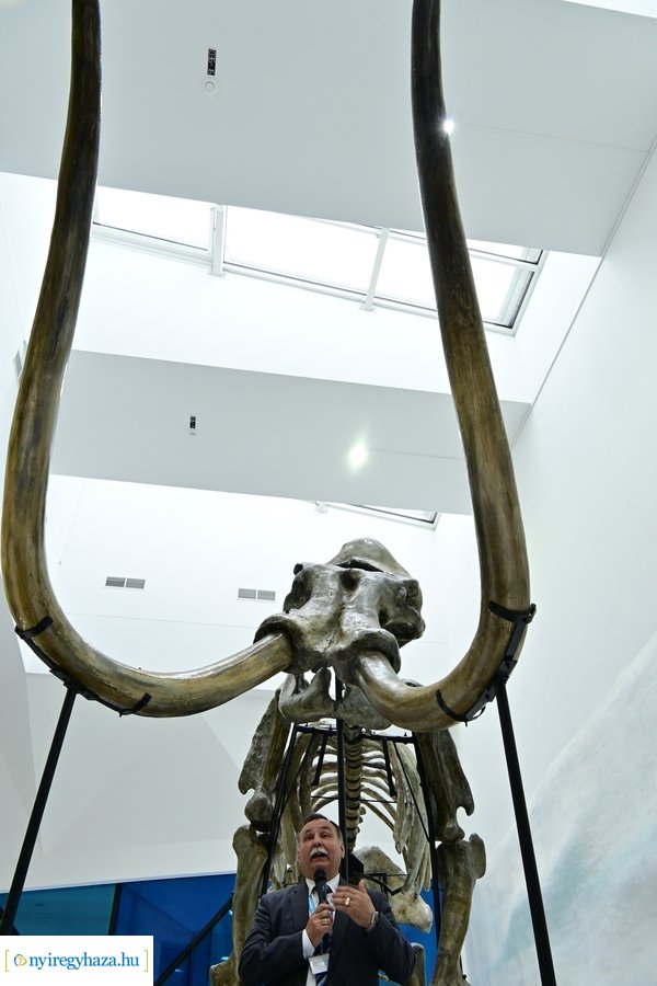 Jégvilág átadó 2024