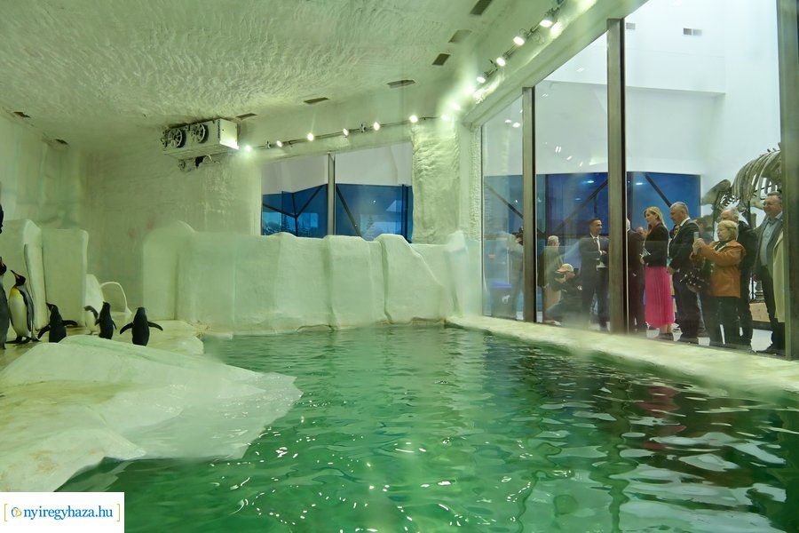 Jégvilág átadó 2024