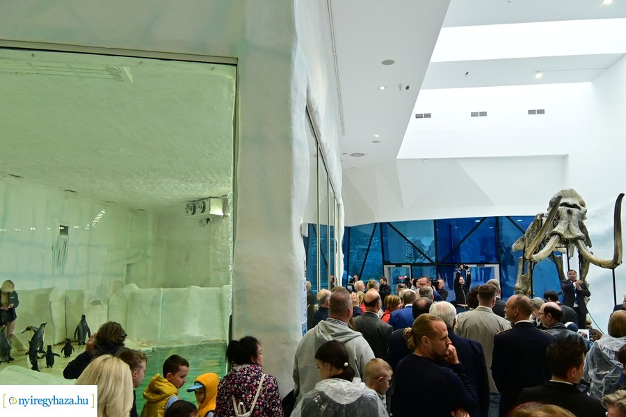 Jégvilág átadó 2024